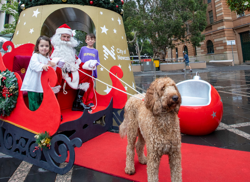 Dog interpreting one of Santa's reindeers.