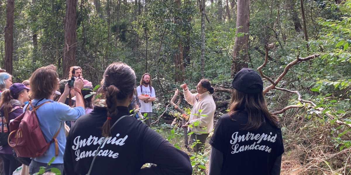 Self-sufficiency workshop with garden weeds with Hunter Intrepid Landcare