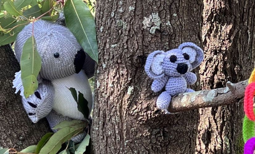 Two toy koalas sitting in a tree