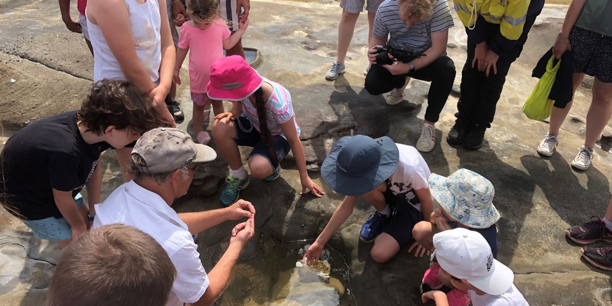 Children gathered around a rock pool learning about coastal life.